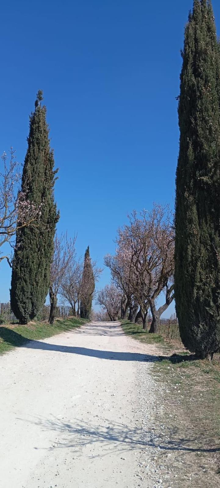 Barbarano Vicentino Alloggio La Perla, Quiete Ed Eleganza Con Vista מראה חיצוני תמונה